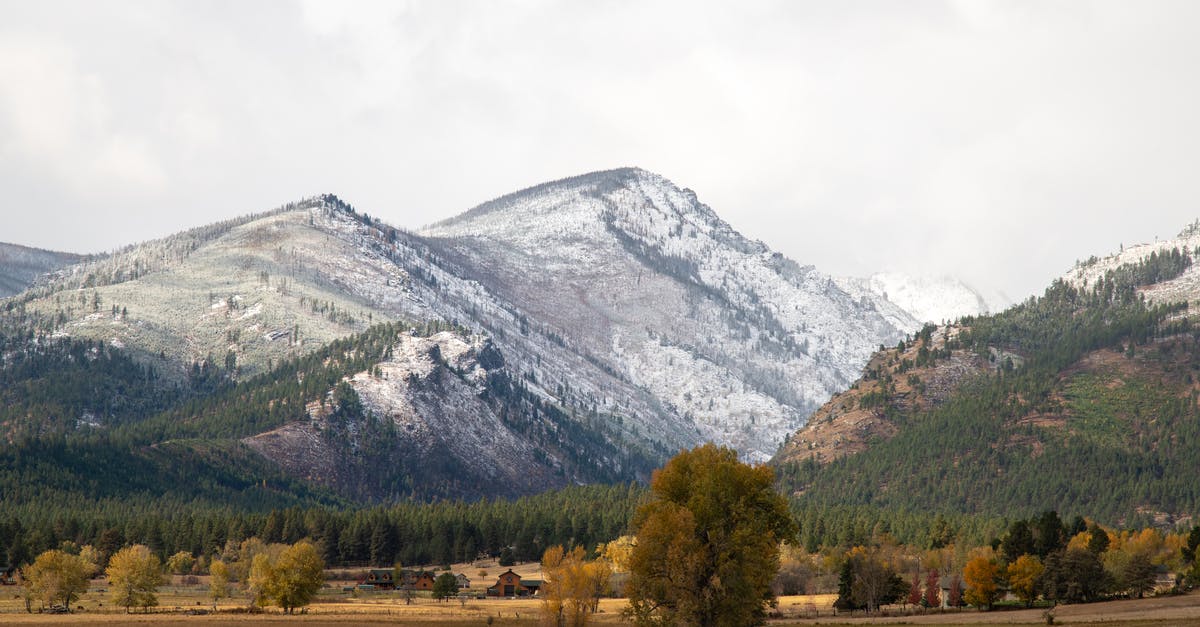 At what rate and range does the Medbay heal one's dwellers? - Green Trees Near Mountain Under White Sky At what rate and range does the Medbay heal one's dwellers? - Green Trees Near Mountain Under White Sky