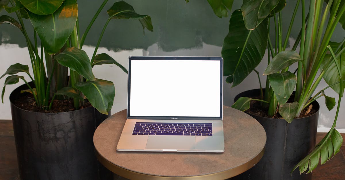 Autocrafting table in minecraft - Free stock photo of botanical, chair, color