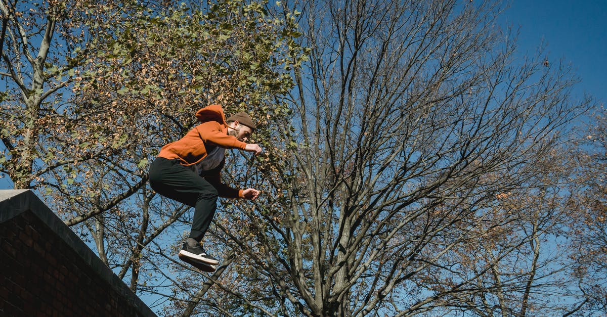Autumn season challenge - From below full length determined male tracer in orange hoodie and hat jumping from brick wall against trees and blue park in autumn park Autumn season challenge - From below full length determined male tracer in orange hoodie and hat jumping from brick wall against trees and blue park in autumn park