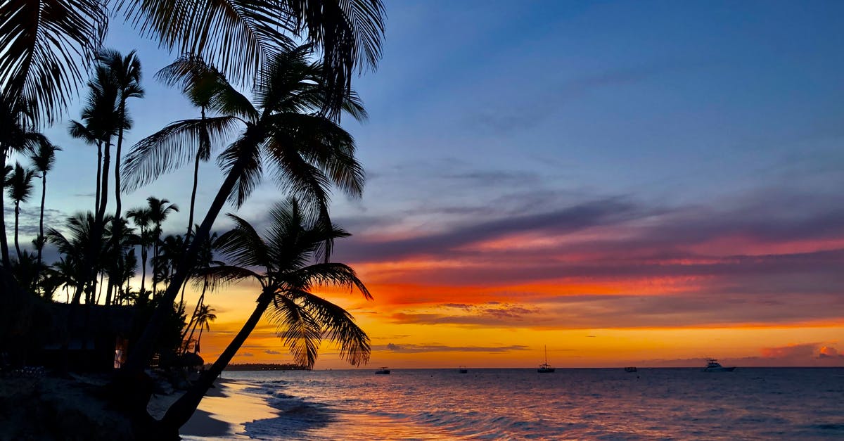 Background musik in Witcher 3 cinematic launch trailer - Silhouette of Palm Trees on Shore