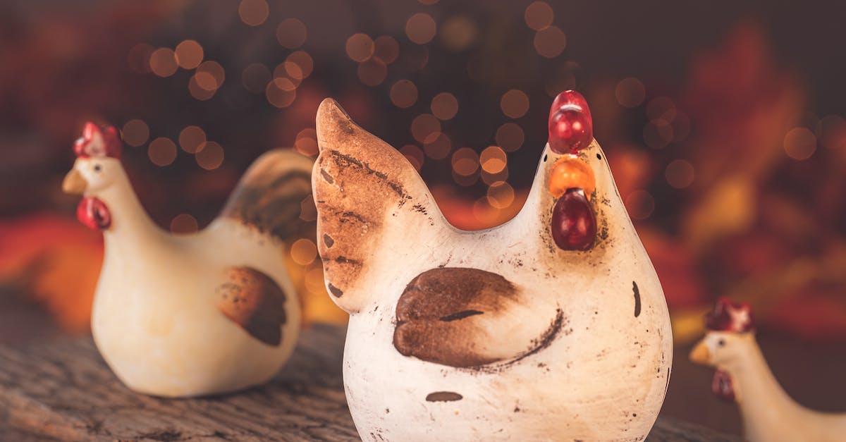 Banished Chicken problem - White Ceramic Bird Figurine on Brown Wooden Table Banished Chicken problem - White Ceramic Bird Figurine on Brown Wooden Table