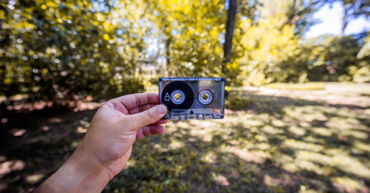 Bastion sound is static on Linux - Person Holding Black and Silver Camera
