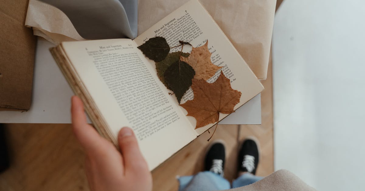 Best Maple locations after a dungeon in Oracle of Ages? - Person Holding White Book Page Best Maple locations after a dungeon in Oracle of Ages? - Person Holding White Book Page