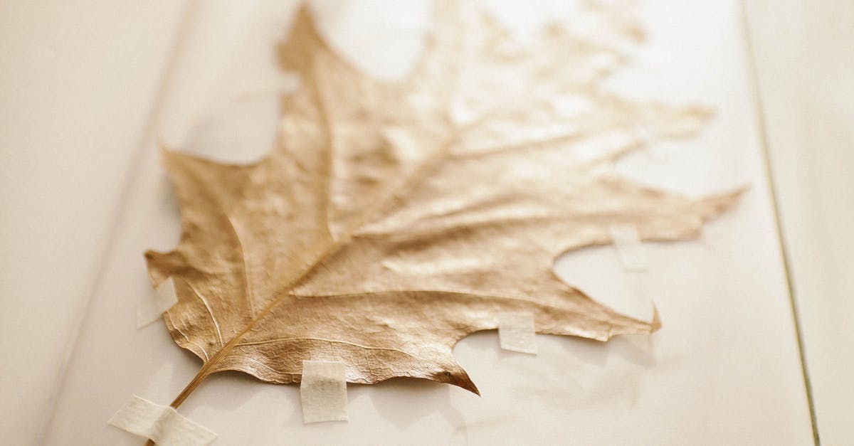 Best Maple locations after a dungeon in Oracle of Seasons? - Brown Dried Leaf Best Maple locations after a dungeon in Oracle of Seasons? - Brown Dried Leaf