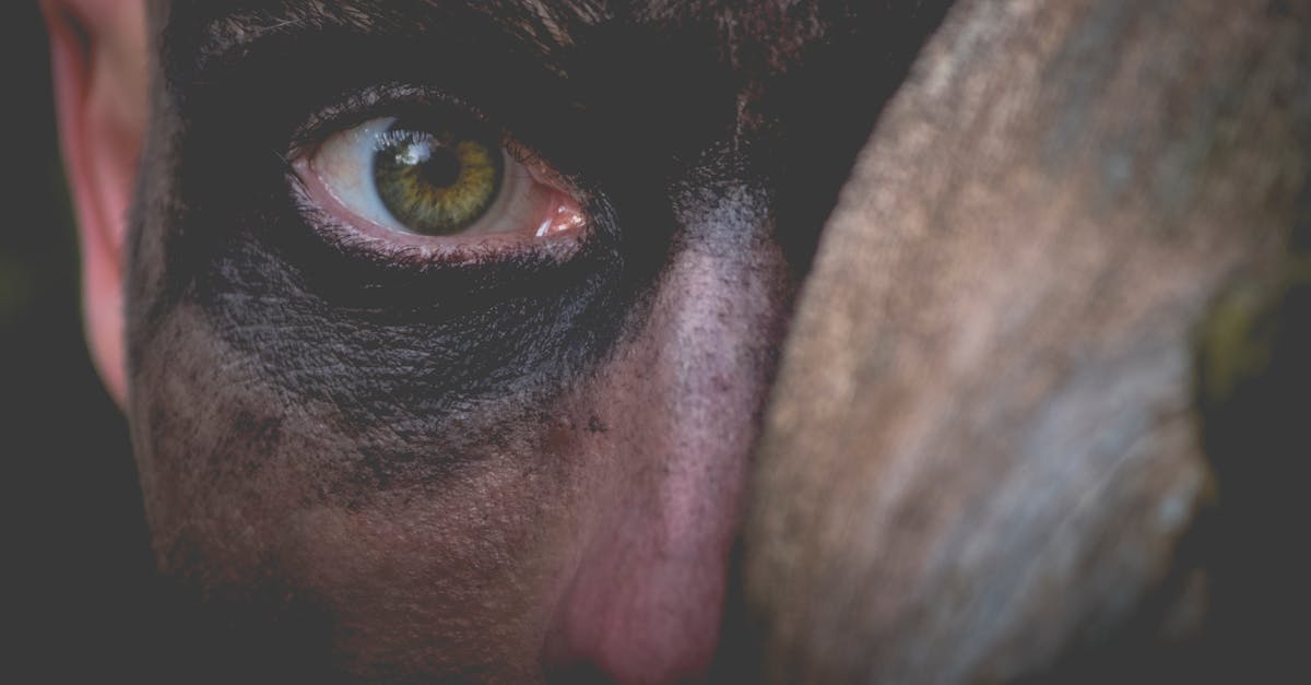 Best Picks for Solo Carrying? [closed] - Human Eye in Close-up Photo