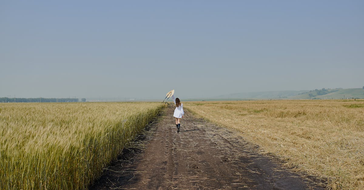 Best way to un-arm all dwellers - Full length of unrecognizable female in stylish white dress raising hand with straw hat and walking on road in field with dry grass in countryside under cloudless clue sky Best way to un-arm all dwellers - Full length of unrecognizable female in stylish white dress raising hand with straw hat and walking on road in field with dry grass in countryside under cloudless clue sky