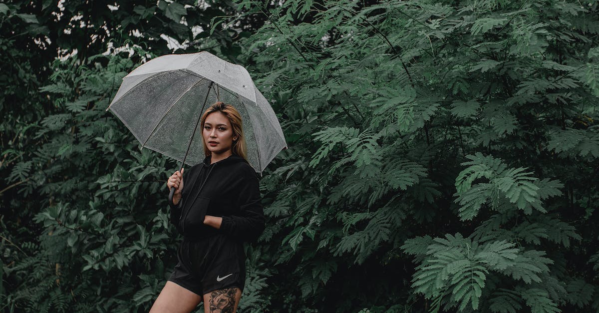 Black Lion Scrap drop chance from Black Lion Chest? - Young focused female in trendy apparel standing with transparent umbrella near greenery plants in garden while looking at camera