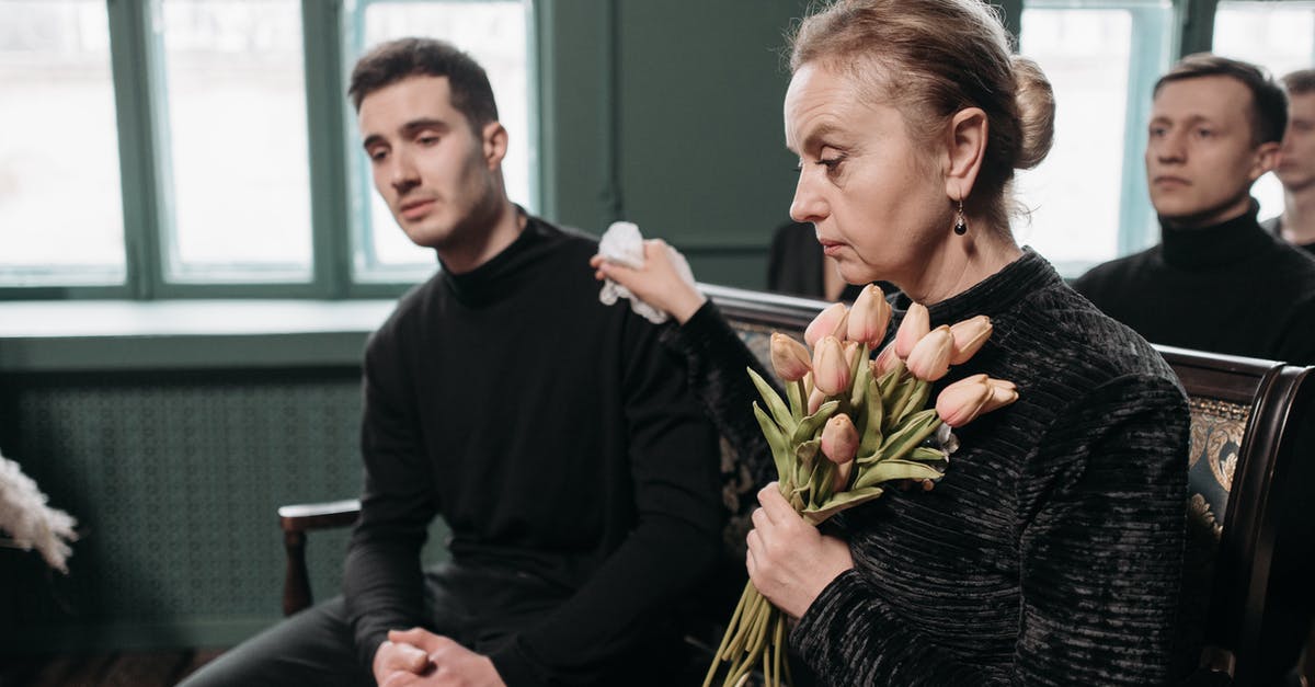 Black widow perk output - A Widow With His Son