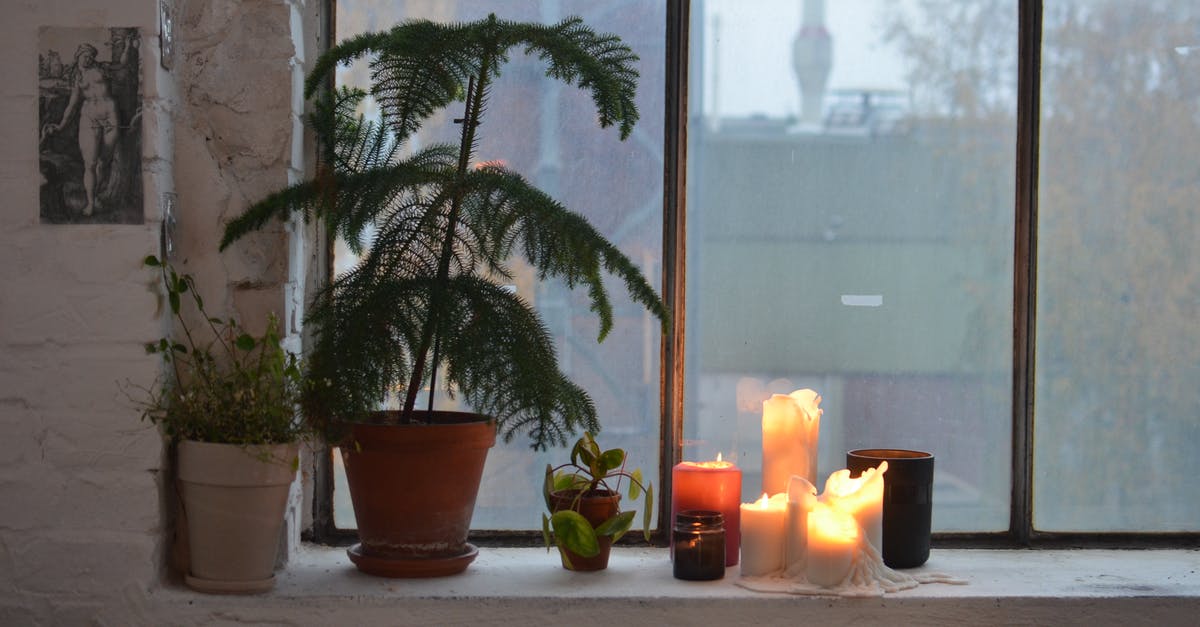 Bolt/Fire Damage stat on weapons - Assorted plants and wax candles on windowsill at home Bolt/Fire Damage stat on weapons - Assorted plants and wax candles on windowsill at home