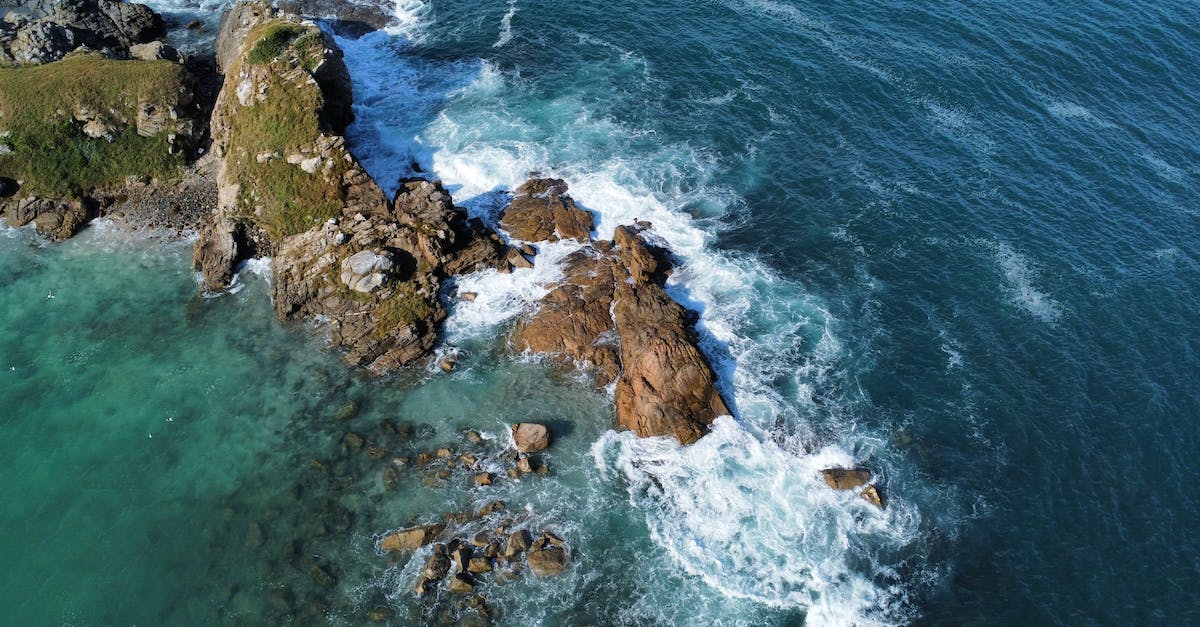 Borderlands 1 crashing on steam multiplayer - Free stock photo of beach, foam, landscape Borderlands 1 crashing on steam multiplayer - Free stock photo of beach, foam, landscape