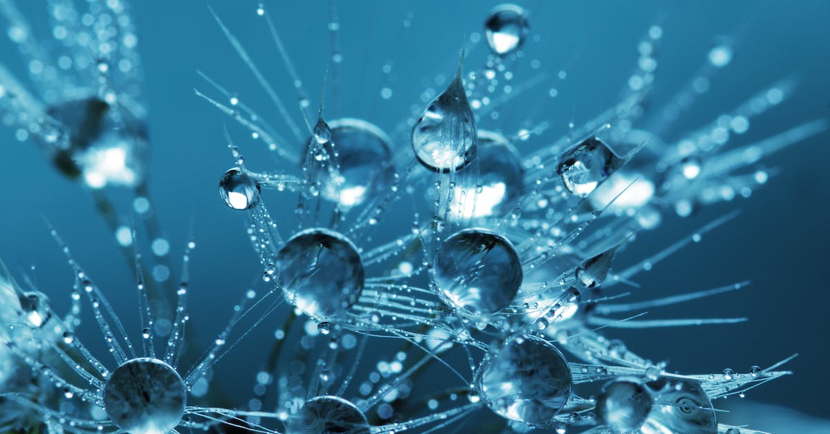 Borderlands 2 FPS drop - Clear Water Drops