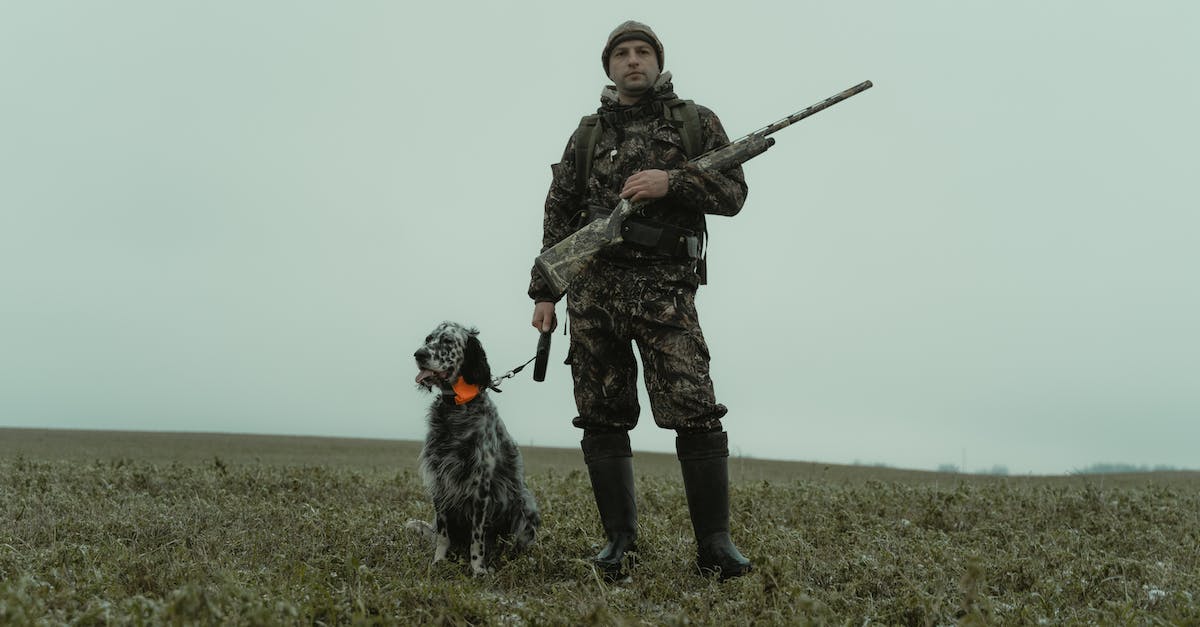 Borderlands 2 Ultimate Vault Hunter Mode problem - Free stock photo of action, adult, adventure