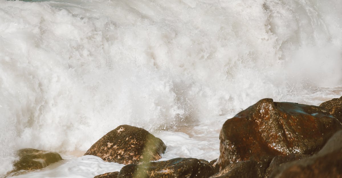 Borderlands 3 crashing startup July 2020 update - Free stock photo of beach, h2o, landscape Borderlands 3 crashing startup July 2020 update - Free stock photo of beach, h2o, landscape