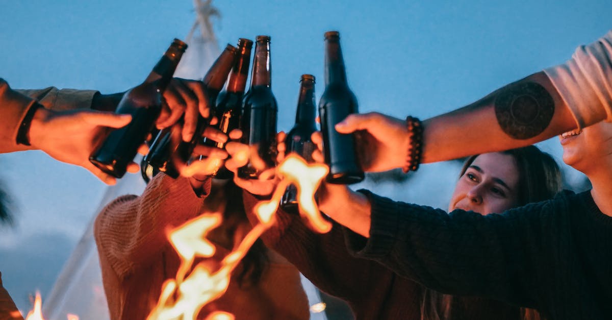 Bottles of beer in level 10 - Group of Friends Clinking Beer Bottles