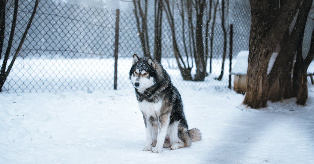 Breeding animal problems [duplicate] - URAL