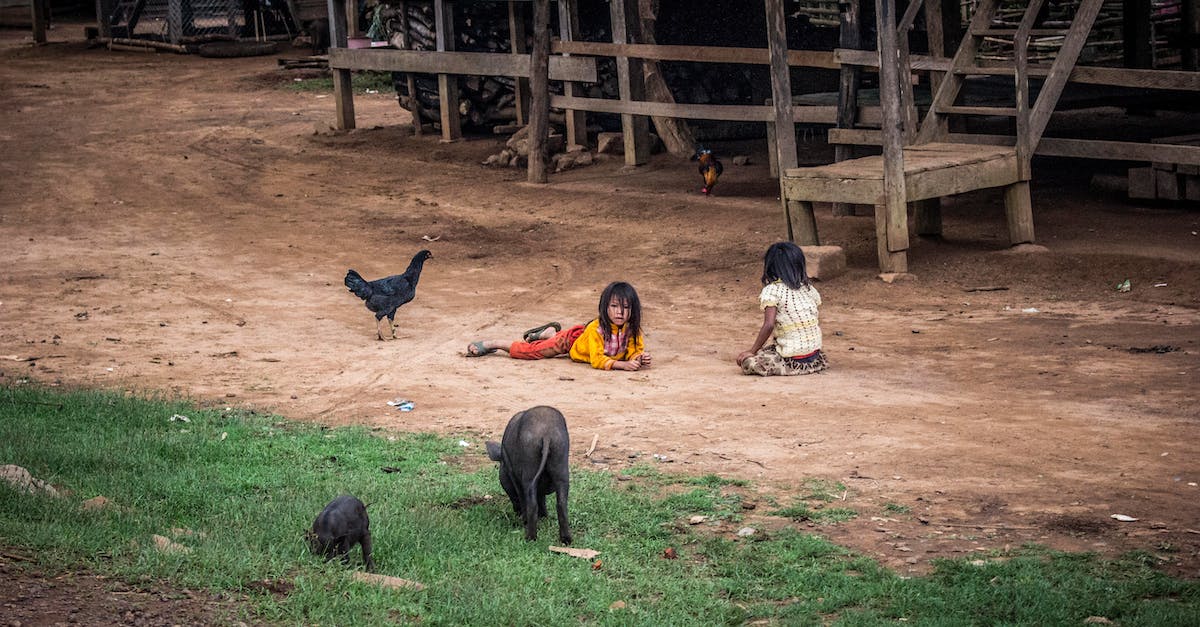 Breeding chickens in Minecraft PE - Two Girls Playing With Three Animals