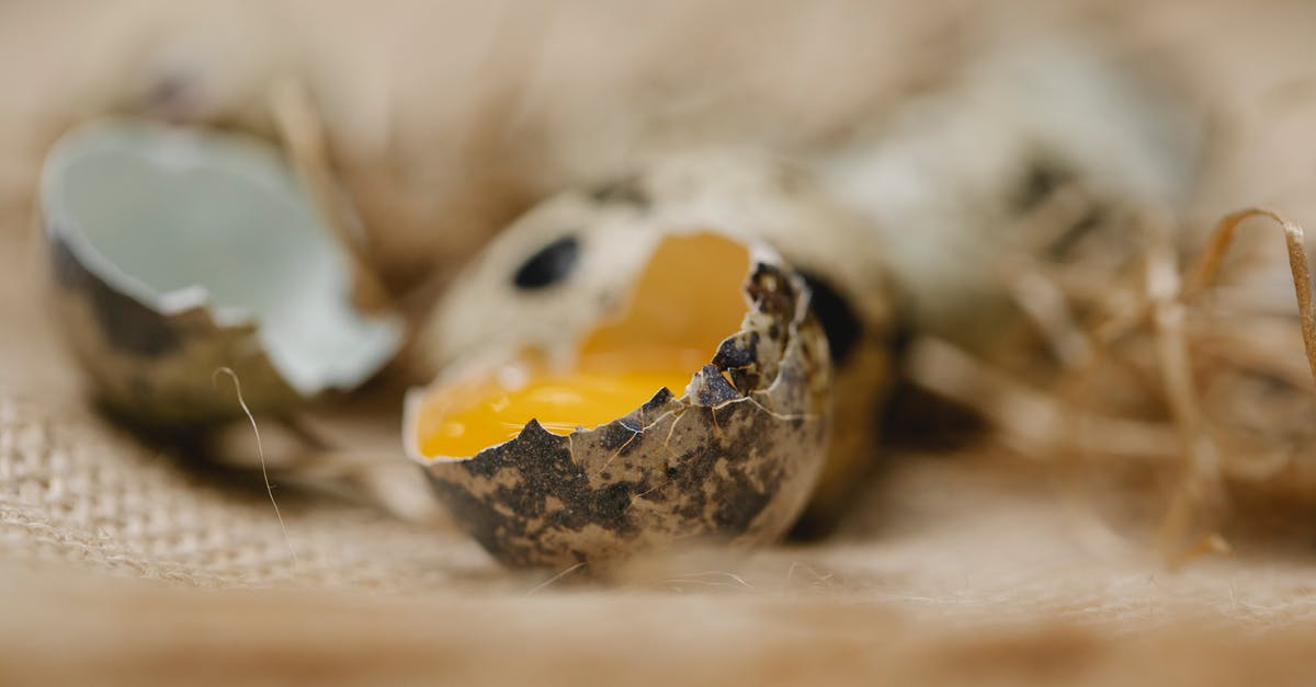 Broken Age, how to get the yellow egg from bird by the clowd shoes place - Cracked quail egg with brown spots and fresh bright yellow yolk on canvas fabric in soft focus