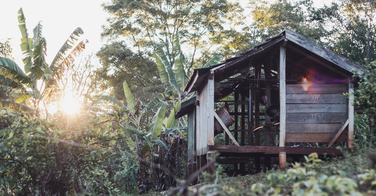 Broken protectorate - Brown Wooden House Surrounded by Green Trees Broken protectorate - Brown Wooden House Surrounded by Green Trees