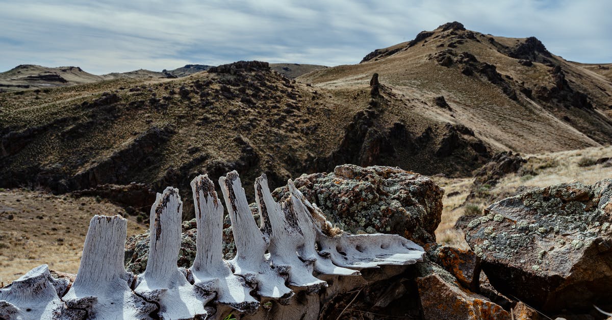 Broken Sword Angel of Death - Ancient animal spine skeleton in rocky terrain Broken Sword Angel of Death - Ancient animal spine skeleton in rocky terrain