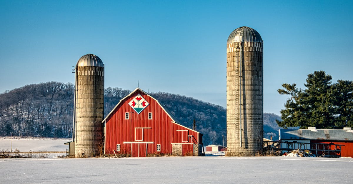 Building a prime netherwart farm. - Red Barn Under Blue Sky