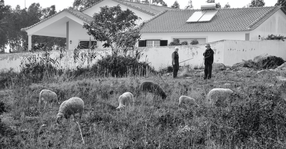 Building a prime netherwart farm. - Grayscale Photo of People Walking on Grass Field