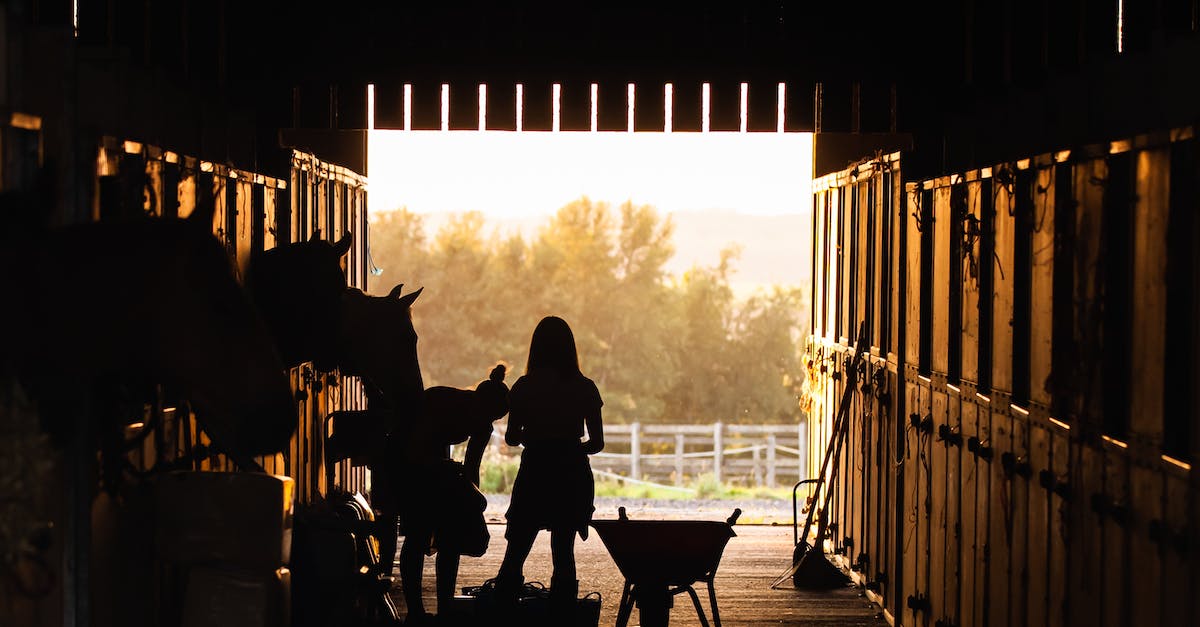 Building a prime netherwart farm. - Silhouette of Women Feeding Horses