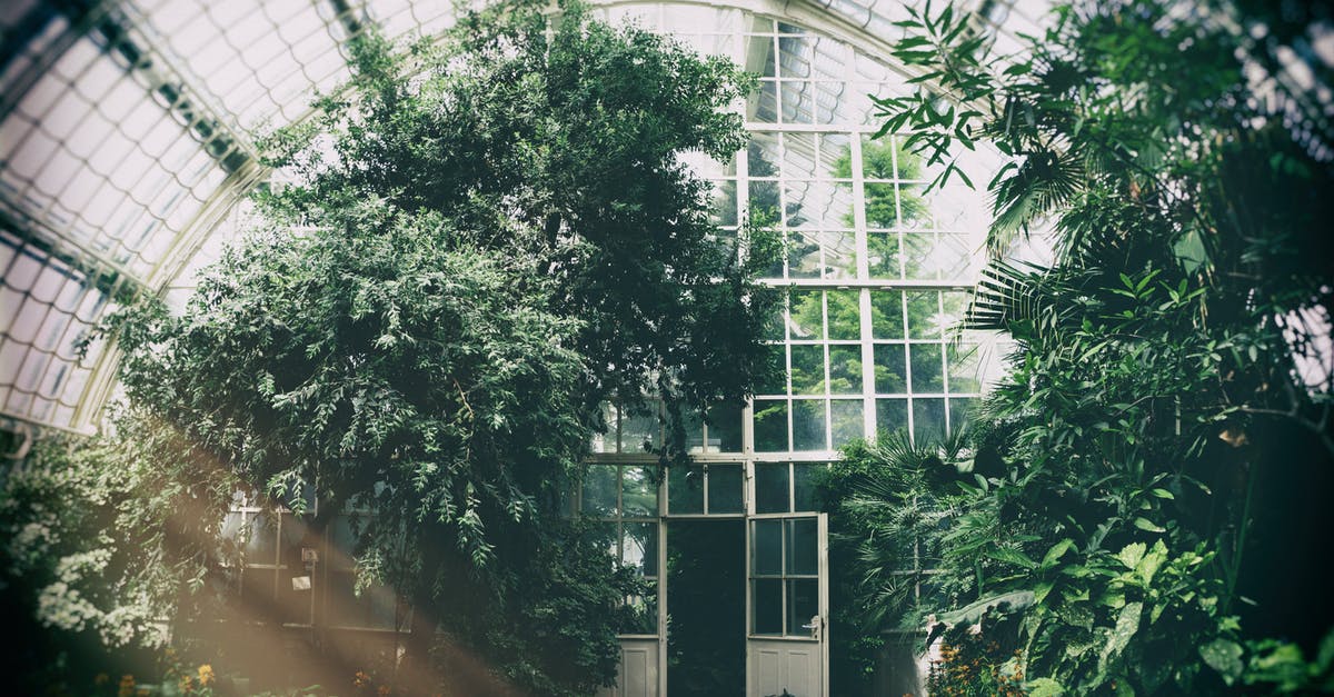 Building normally open floodgates - Green Plants In A Greenhouse Building normally open floodgates - Green Plants In A Greenhouse