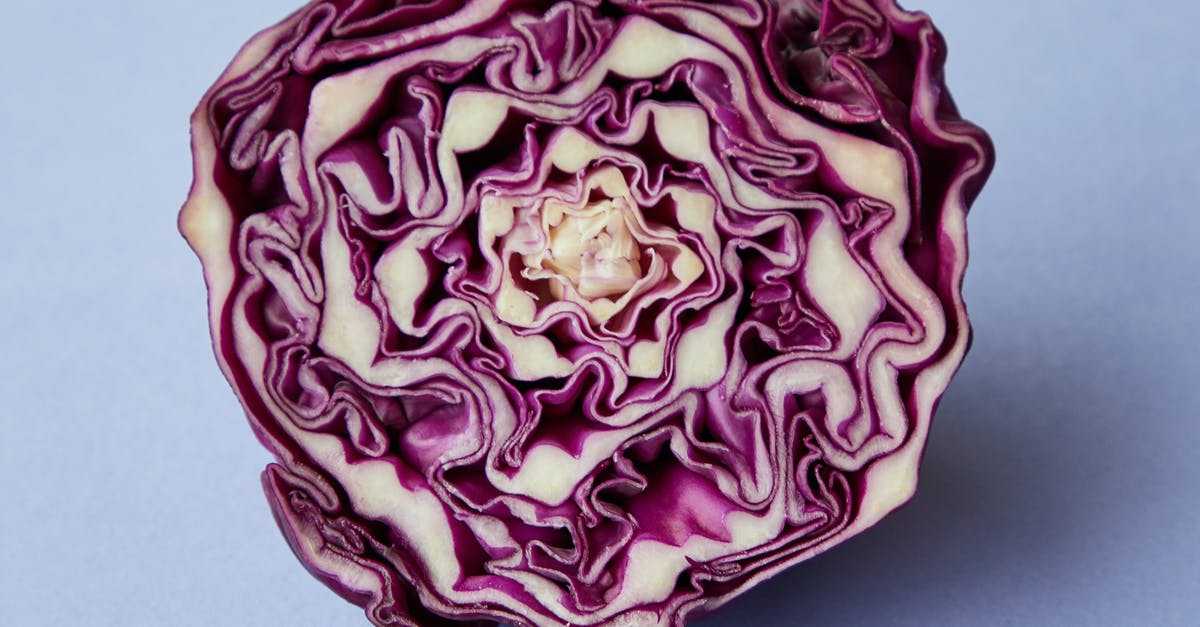 Cabbage Pult Missing from Almanac and My Plants in PVZ2 - From above of half of purple raw fresh juicy cabbage on blue background Cabbage Pult Missing from Almanac and My Plants in PVZ2 - From above of half of purple raw fresh juicy cabbage on blue background
