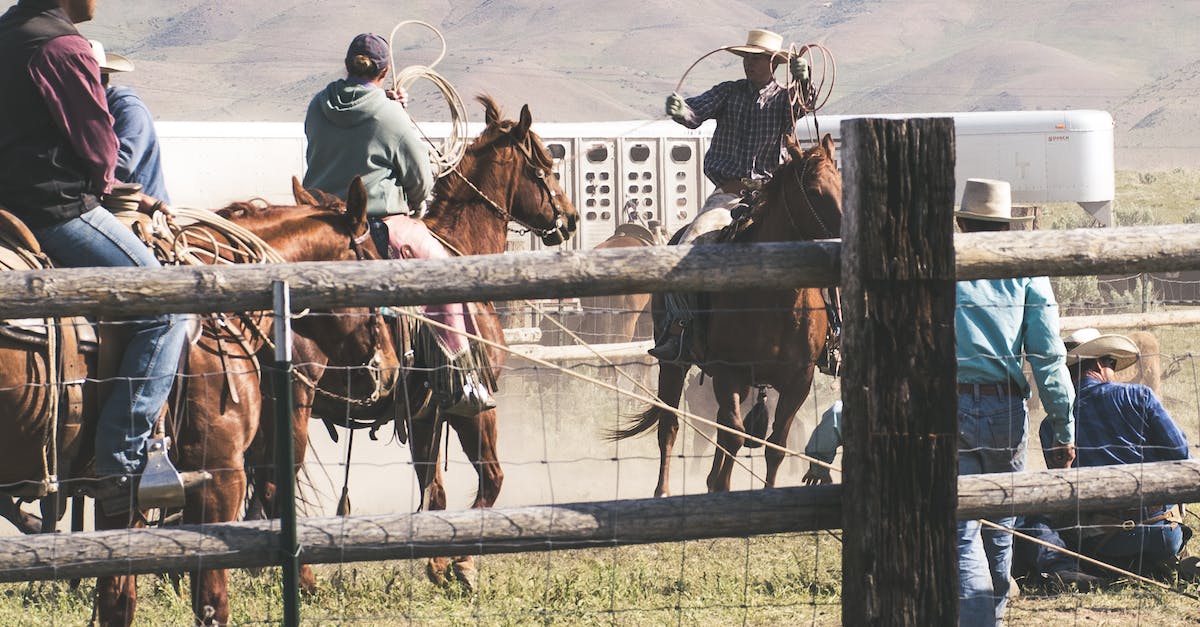 Camera keeps sliding up when riding the horse - Three Men Riding Horses