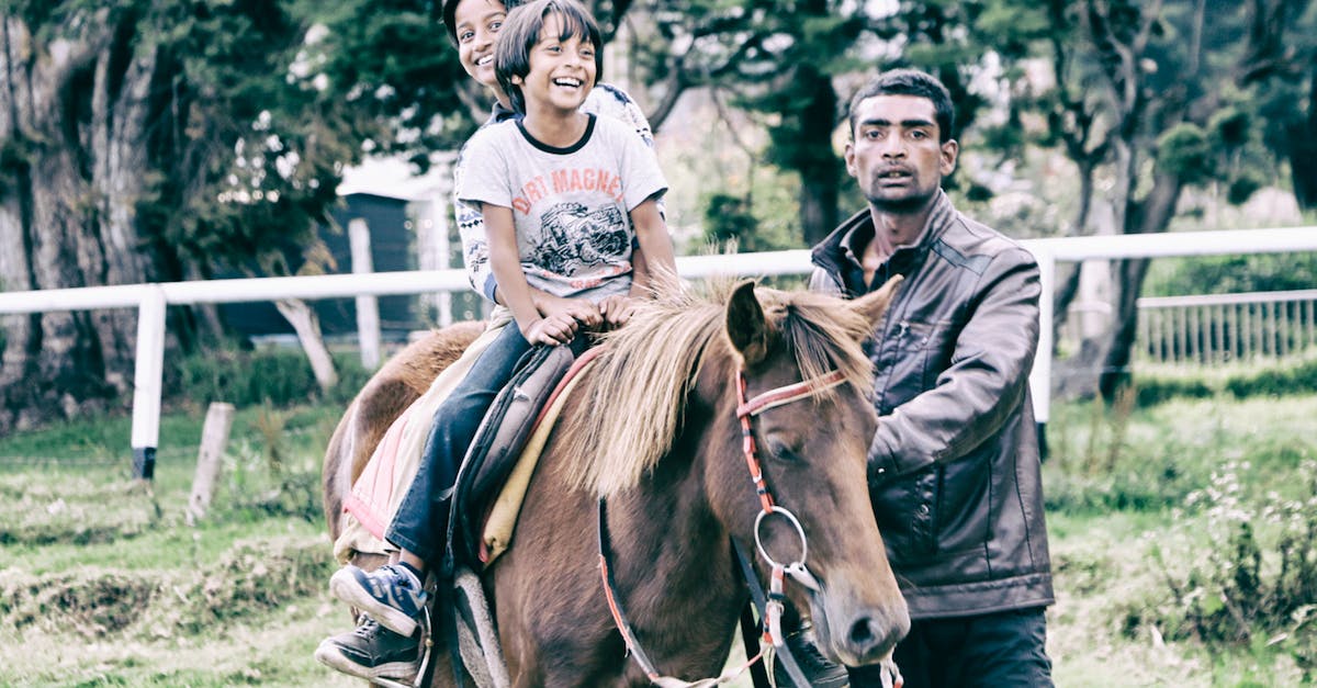 Camera keeps sliding up when riding the horse - Children Riding Horse With Adult Guiding