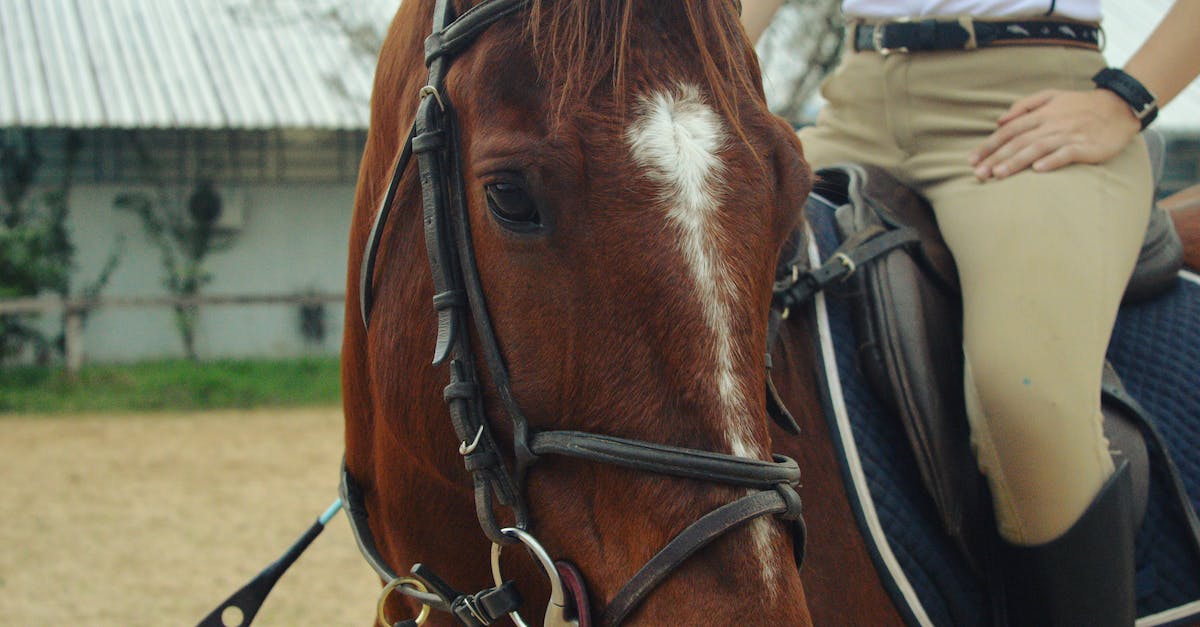 Camera keeps sliding up when riding the horse - Person Riding on a Brown Horse