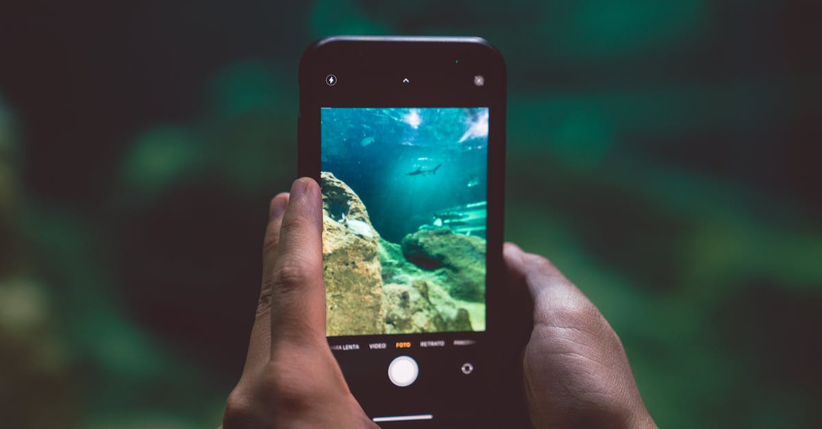 Can't access Reef Social area [duplicate] - Free stock photo of access, aquarium, blur