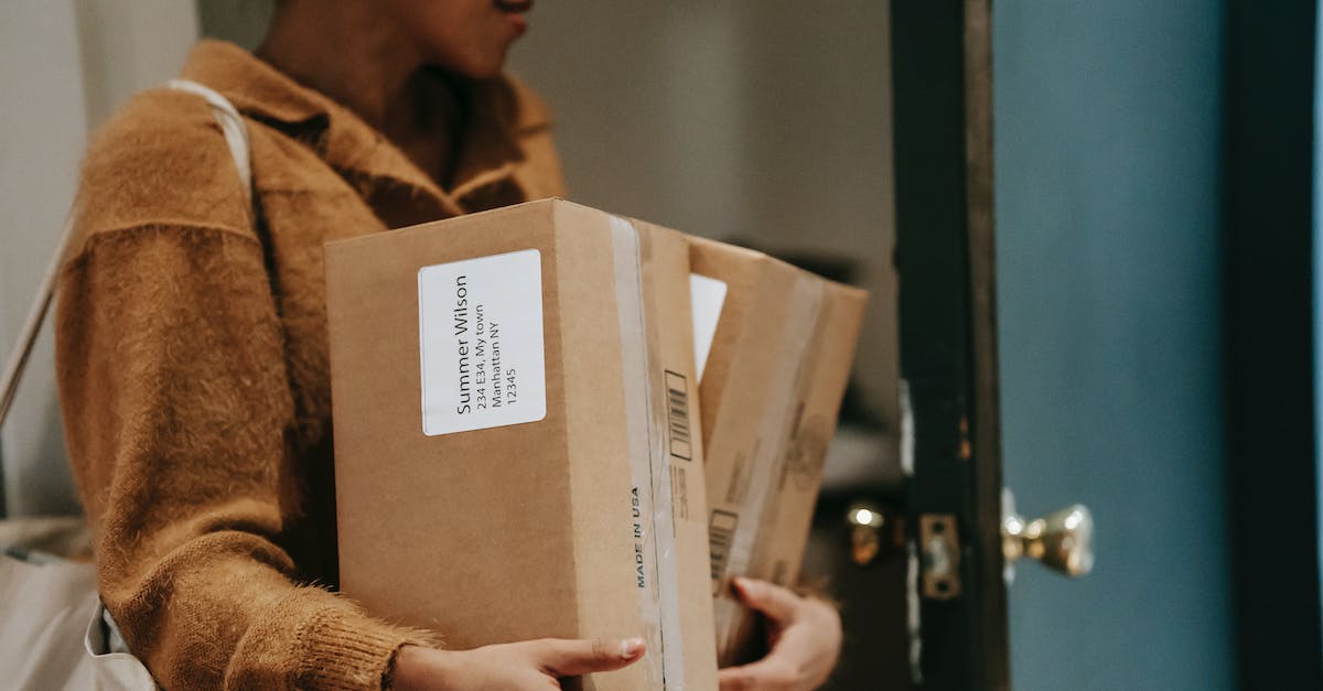 Can't Enter Trap Door in Zork - Crop ethnic female walking into open door of apartment with carton boxes with goods from delivery