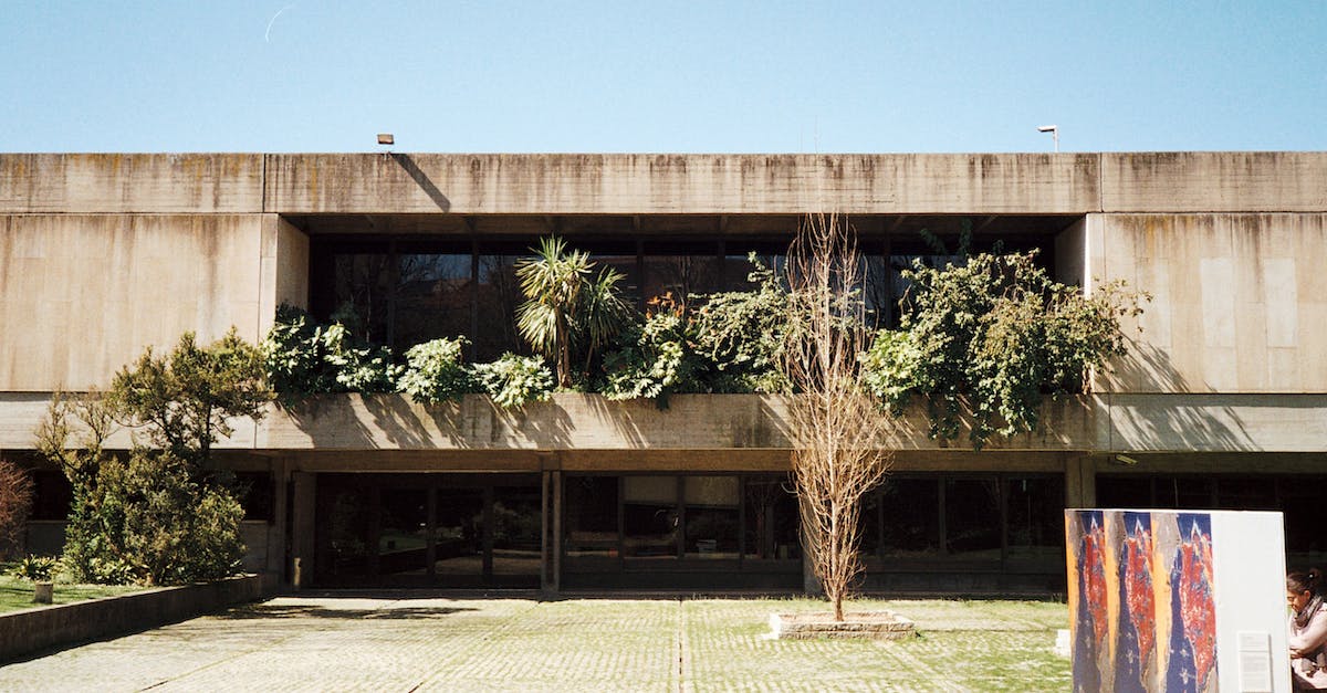 Can't join Minecraft PE version 8.1, says outdated server? - Crop anonymous man shaking hand of male friend with vitiligo skin against white background