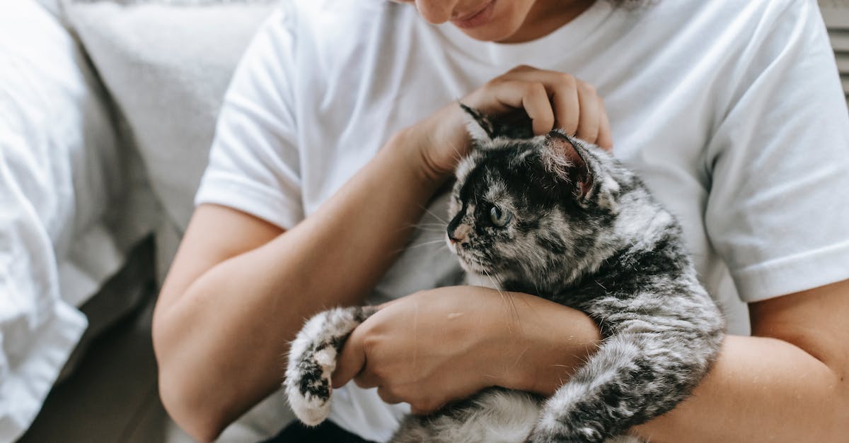 Can't play Minecraft 1.7.5 - sun.security.ssl.Alerts.getSSLException? - Crop woman stroking cat in hands Can't play Minecraft 1.7.5 - sun.security.ssl.Alerts.getSSLException? - Crop woman stroking cat in hands