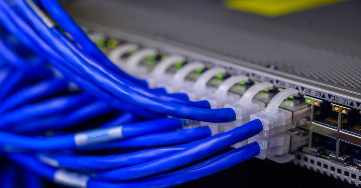 Can't set up LAN server with Terraria 1.2.4 - Cables Connected to Ethernet Ports