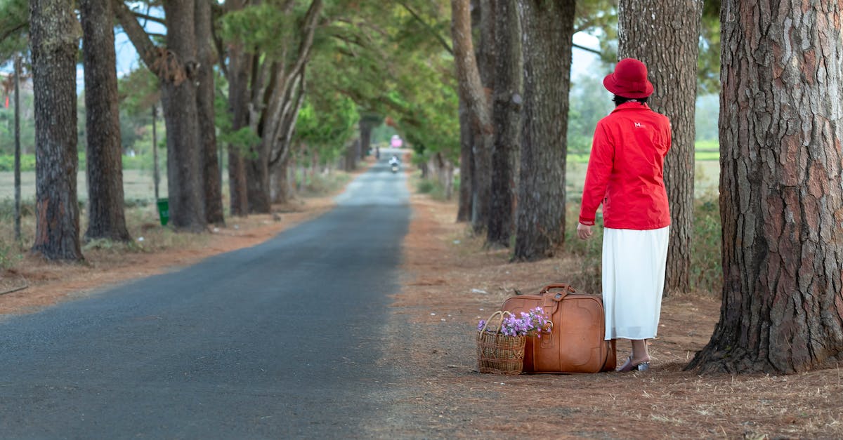 Can't solo the jewelery heist, because everyone gets alerted in the street - Woman Standing Beside Tall Tree Near Road Can't solo the jewelery heist, because everyone gets alerted in the street - Woman Standing Beside Tall Tree Near Road
