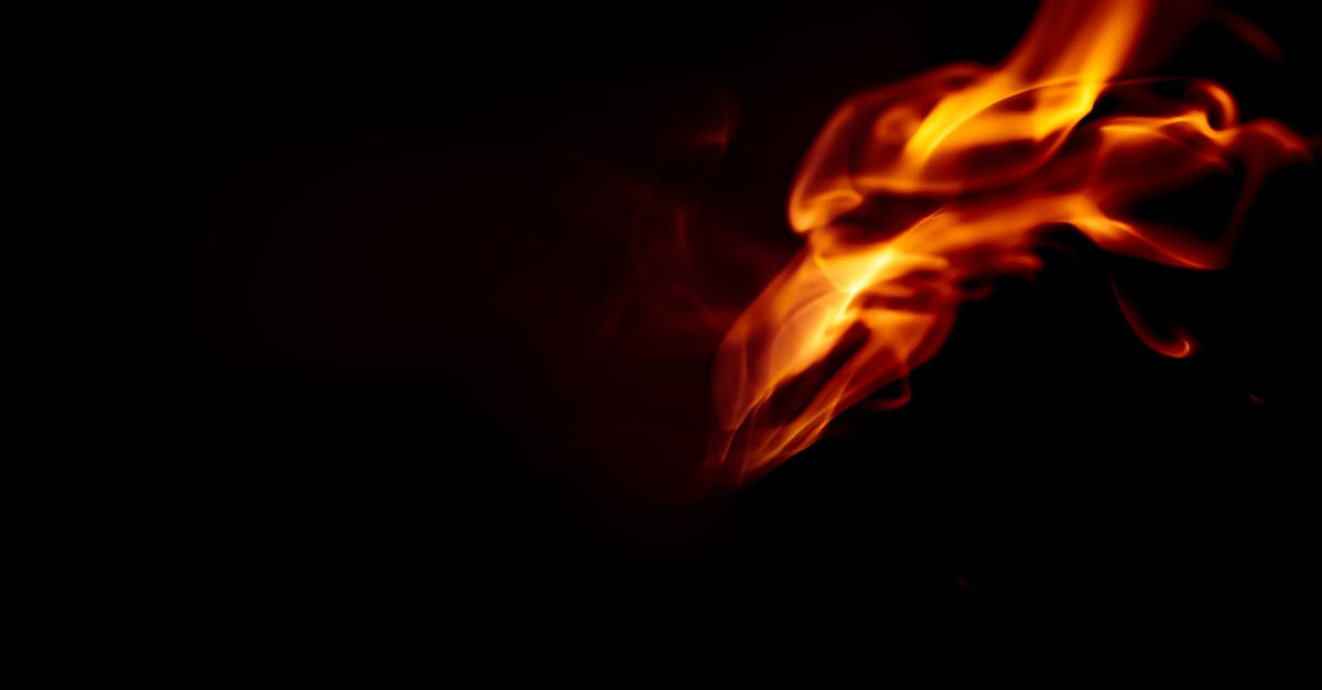 Can a dragon be aware of your immunity to their magic element? - Orange and Red Fire in Dark Room Can a dragon be aware of your immunity to their magic element? - Orange and Red Fire in Dark Room