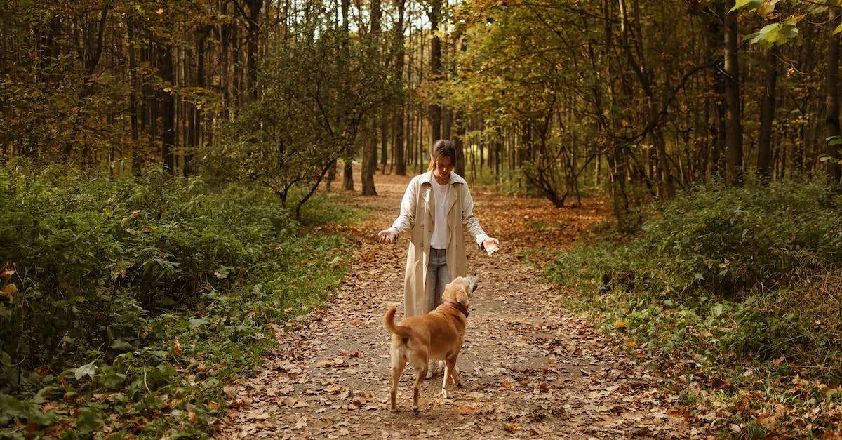 Can a Jorrvaskr Companion die permanently as a follower? - A Labrador Retriever Dog Following the Woman Can a Jorrvaskr Companion die permanently as a follower? - A Labrador Retriever Dog Following the Woman