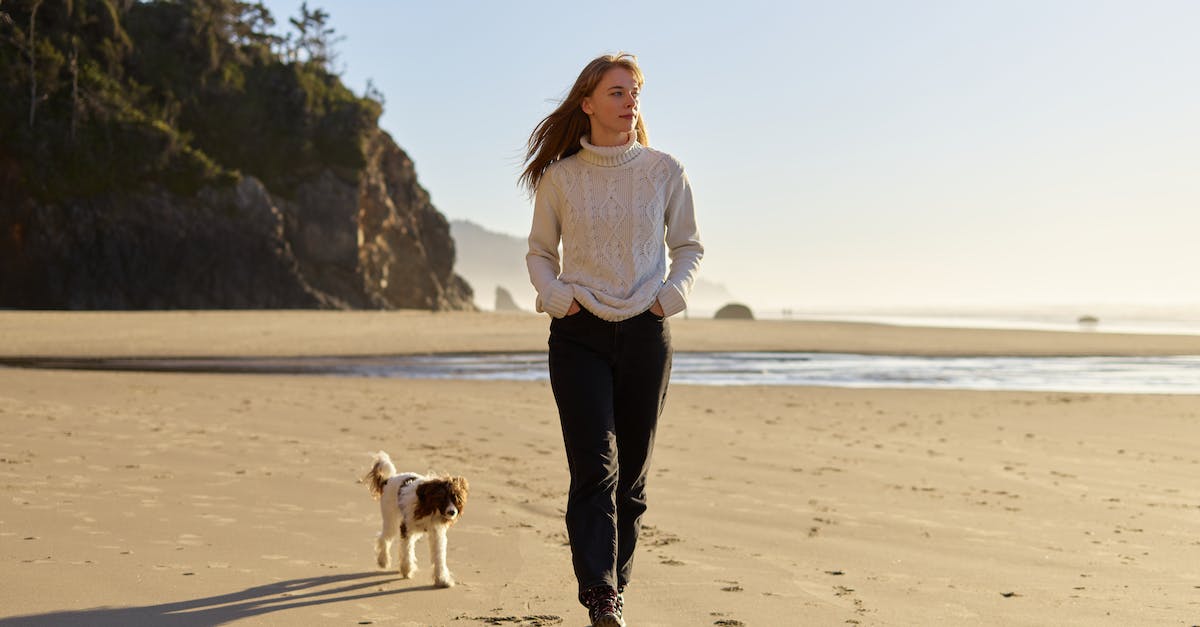 Can a Jorrvaskr Companion die permanently as a follower? - A Dog Following the Woman in the Beach Can a Jorrvaskr Companion die permanently as a follower? - A Dog Following the Woman in the Beach