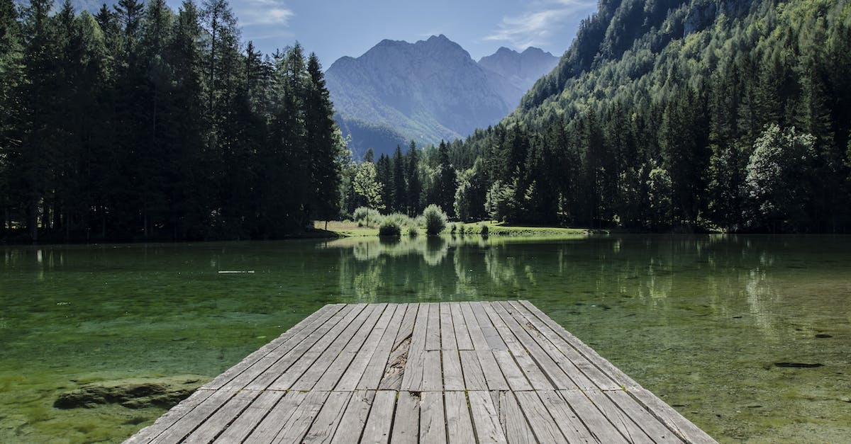 Can a Squad Sight Sniper use Mindfray on an enemy outside their line of sight? - Wooden Path Beside River