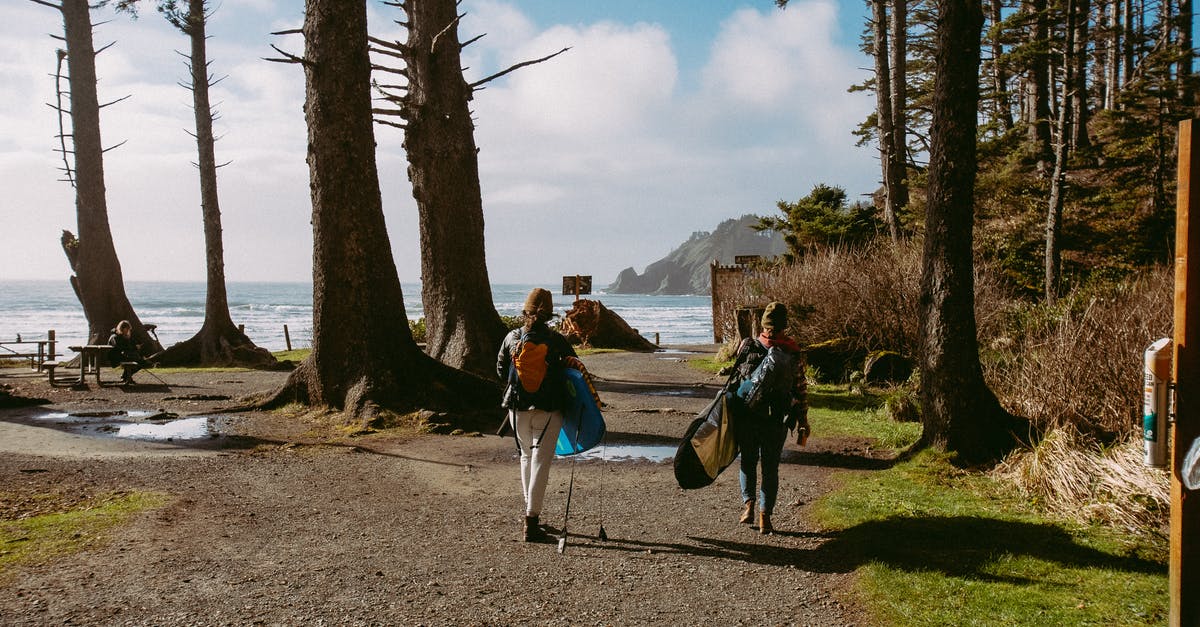 Can adventurers telekinetically wield items? - Woman in Blue Jacket and Black Pants Riding Horse