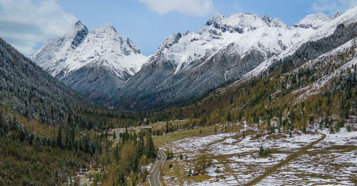 Can Aerial Ace be dodged? - Snow Covered Mountain Near Green Trees