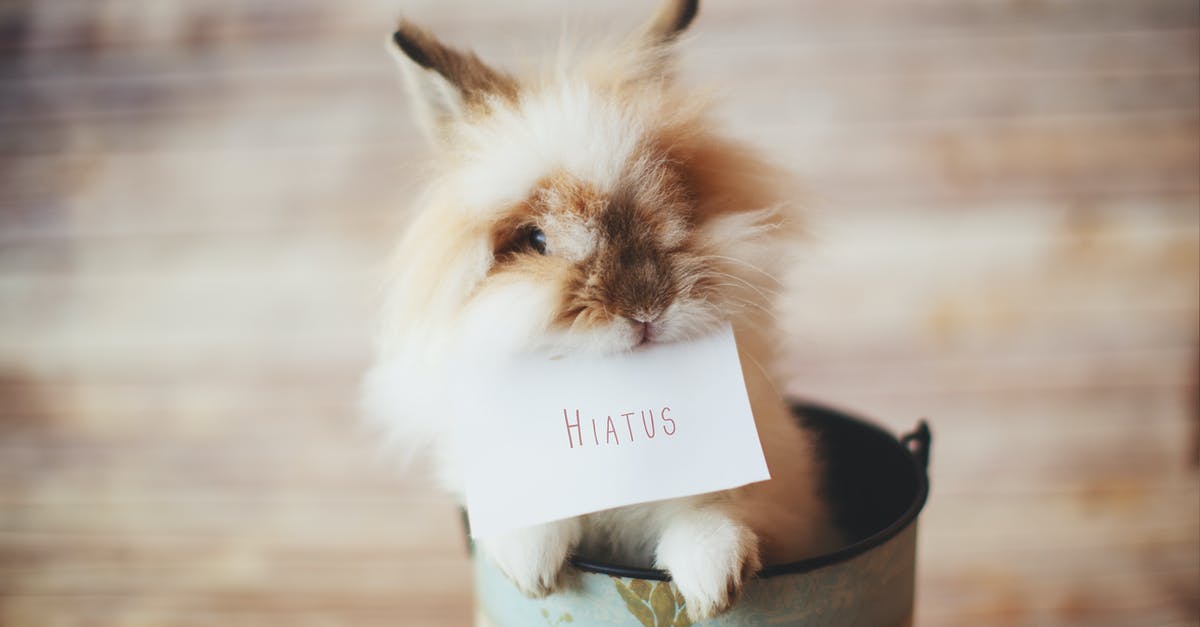 Can attackers spawn inside walls? - Selective Focus Photo of Guinea Pig Holding Card