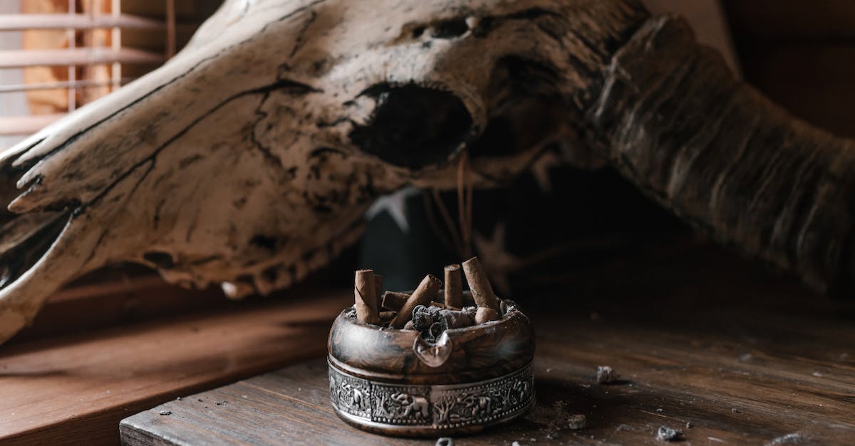 Can cows go through the end portal? - Old ashtray and cow skull on dusty wooden table