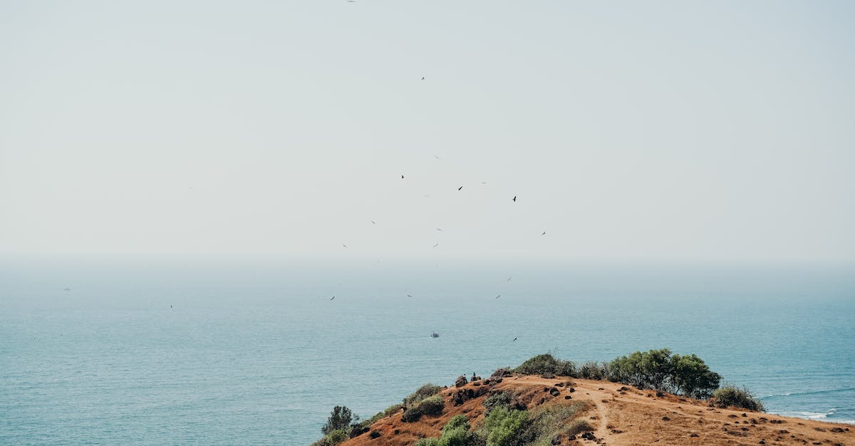 Can endermen teleport up a hill with overhanging edge - Green Grass Field Near Body of Water