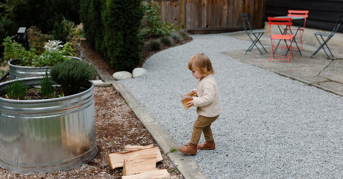 Can I access the shrine near Kakariko village after completing the rest of the game? - Kid playing with firewood in garden