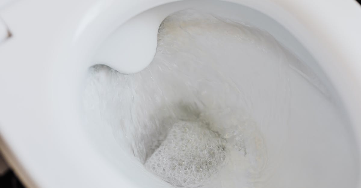 Can I buy equipment from Shannon if I "visited" her in the toilet before? - Flushing water in white toilet bowl