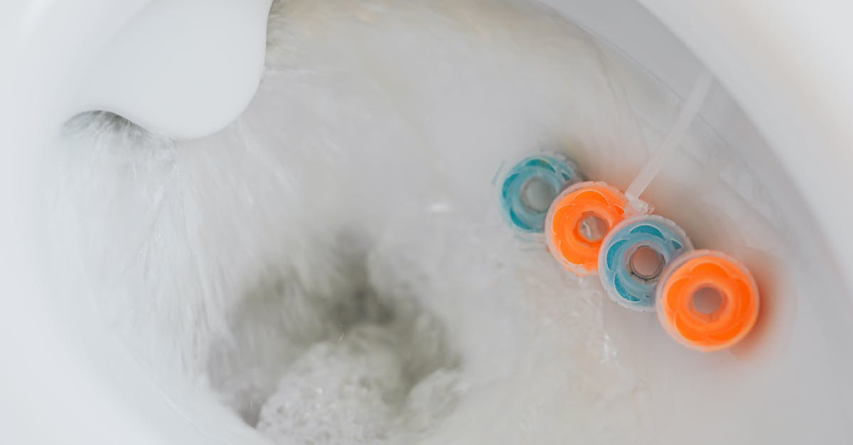 Can I buy equipment from Shannon if I "visited" her in the toilet before? - From above of flushing water in toilet bowl with cleaner and freshener block