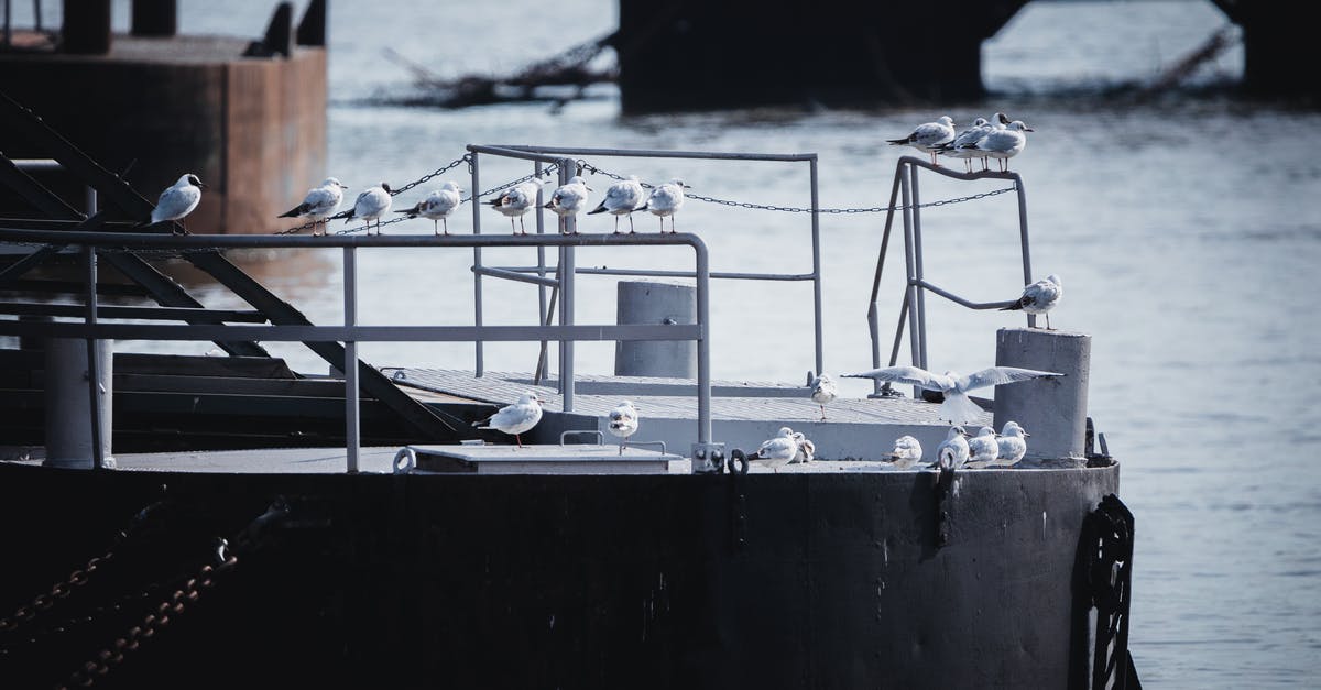 Can i determine the species that's on a colony ship in stellaris? - Seagulls Perched on a Boat